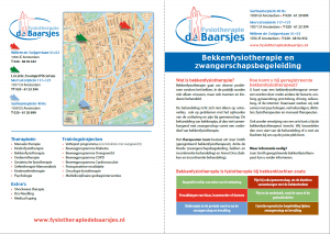 bekkenfysiotherapie